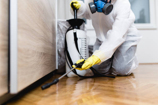 Best Termite Control Services  in Crest, CA