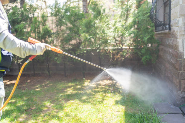 Best Pest Control Near Me in Crest, CA