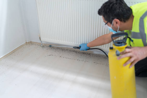 Best Bed Bug Extermination  in Crest, CA