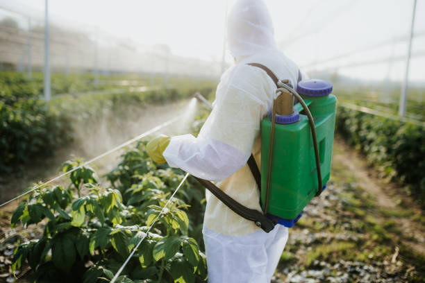  Crest, CA Pest Control Pros